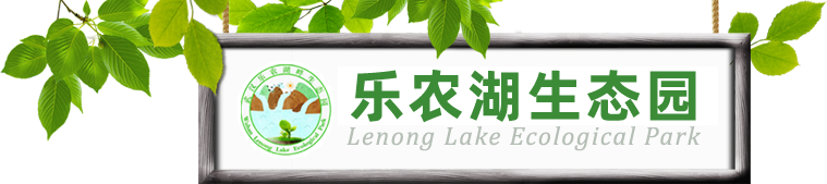 武漢農(nóng)家樂(lè)推薦武漢好玩的周邊游農(nóng)家樂(lè)江夏親子一日游